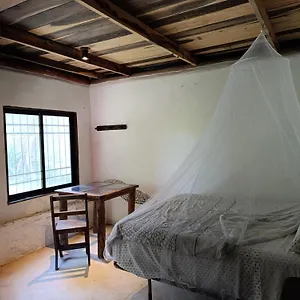 https://chez-gigi-eco-lodge.quintano-roohotels.com